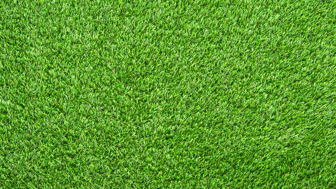 ARTIFICIAL TURF